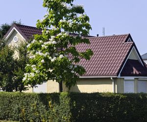 Amerykańska ulica we Wrocławiu istnieje naprawdę. Tak wygląda Tunelowa