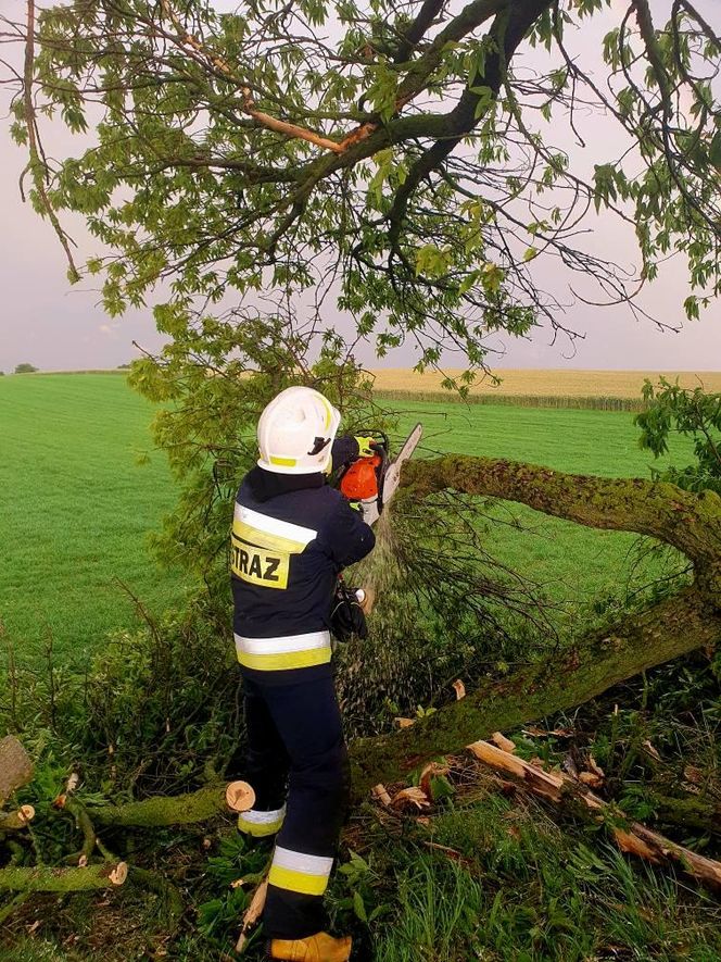 Potężna burza przeszła przez Bydgoszcz i region. Ponad 400 interwencji strażaków!