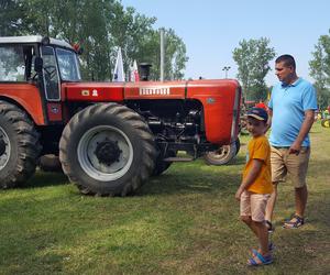 Festiwal starych ciągników w Wilkowicach. Setki maszyn, tysiące widzów i upał