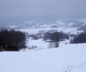 Dolina Wilkowska 