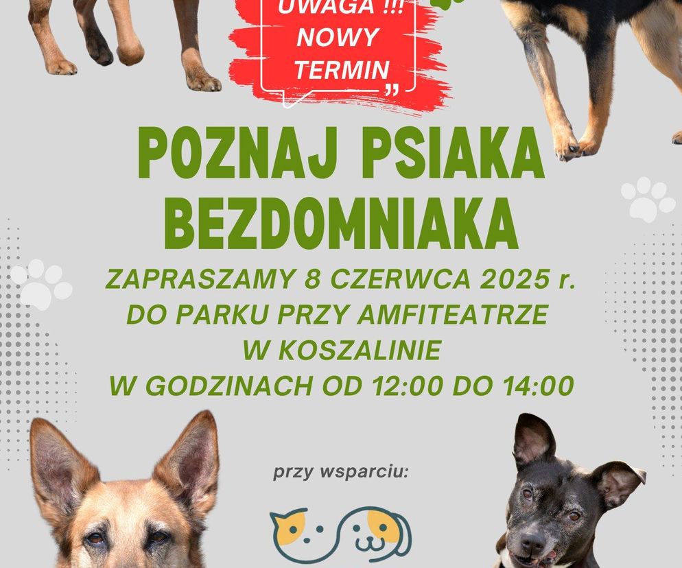 bezdomniaki
