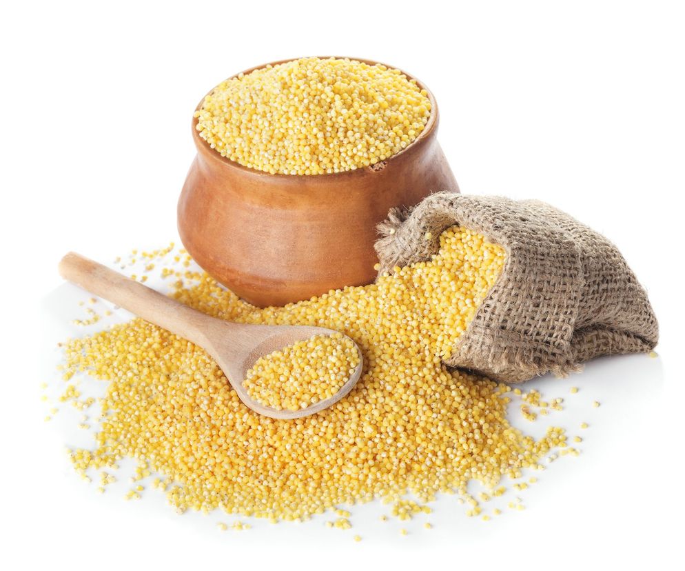 Proso - właściwości i zastosowanie