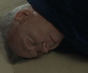 Barwy szczęścia, odcinek 3178. Henryk (Zbigniew Suszyński)