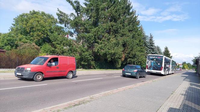 Zamojski MZK testuje elektryczny autobus