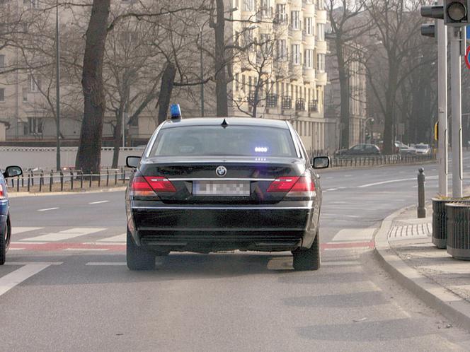 Z drogi śledzie Borsuk jedzie