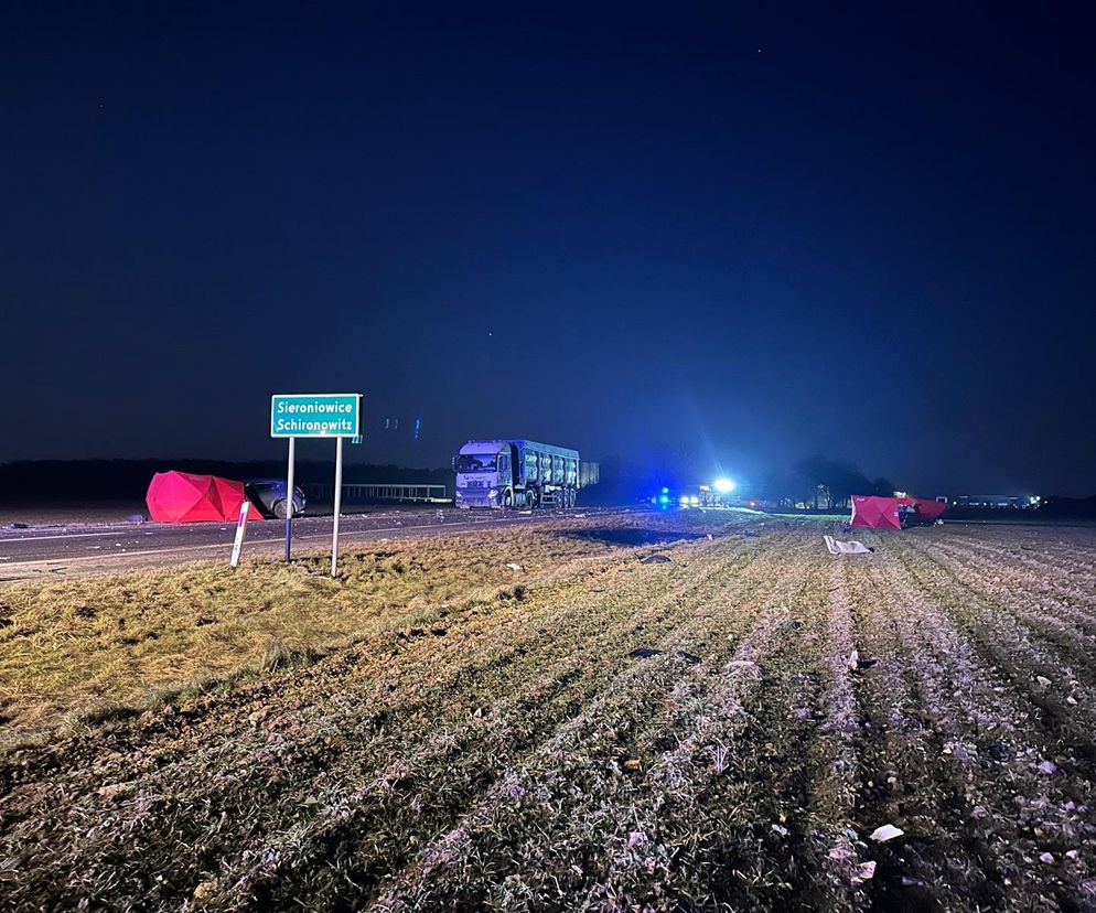  Śmiertelny wypadek na DK88 pod Strzelcami Opolskimi