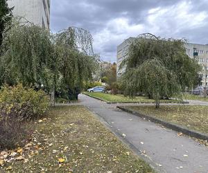 Atak maczetą na Bielanach. Trwa obława za sprawcą. Policja apeluje do świadków