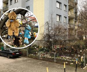 Lalki i misie wiszące na drzewie. Upiorny skwerek na Nowym Dworze we Wrocławiu