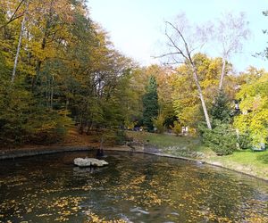 Gdański Ogród Zoologiczny jesienią