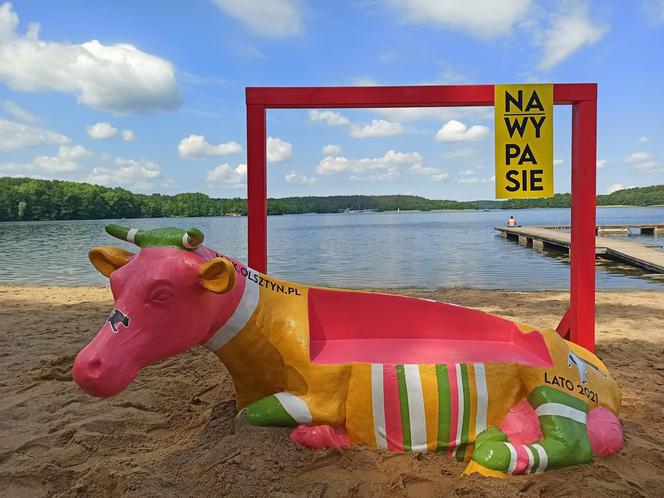 Olsztyn. Nowa atrakcja w mieście. Można zrobić sobie zdjęcie z RÓŻOWĄ KROWĄ! [ZDJĘCIA]