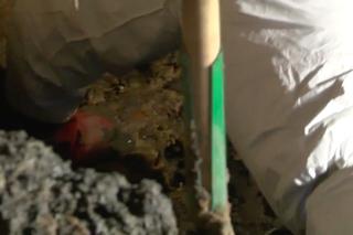 Zamurował żonę w piwnicy