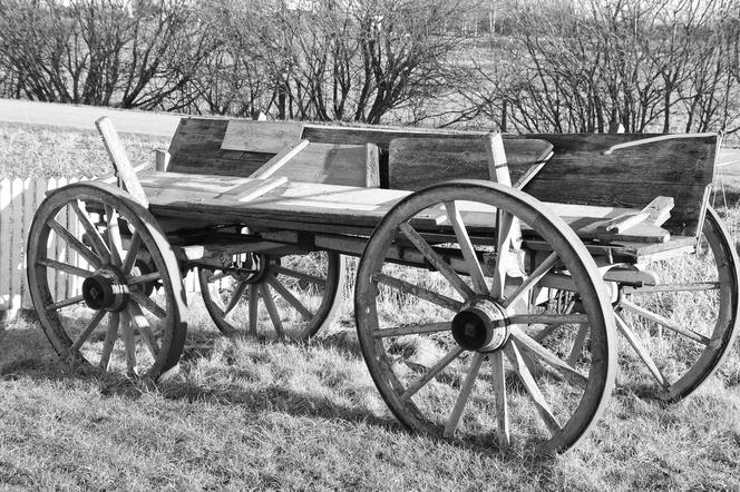 wagon