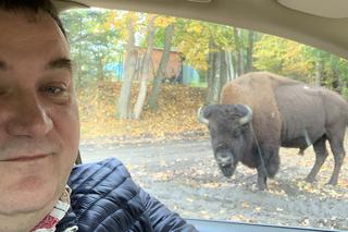 Senator pod wrażeniem rozmiarów. Stanisław Gawłowski pozuje do zdjęcia z bizonem