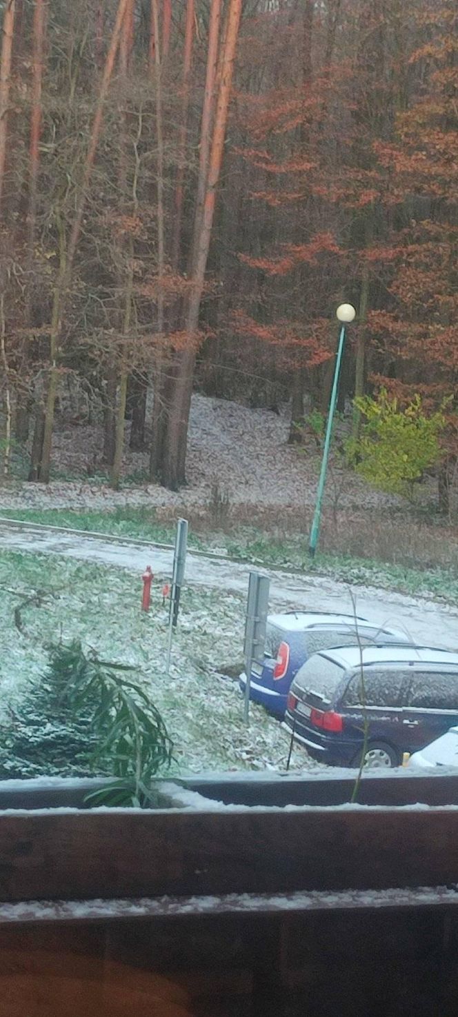 Pierwszy śnieg w tym roku. Pomorze pokryte białym puchem