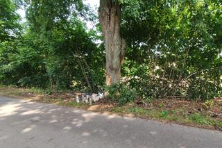 Trzech młodych chłopców ginie w koszmarnym wypadku w województwie Pomorskim