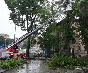 Zachodniopomorskie: Po burzach i ulewach ponad 160 interwencji strażaków