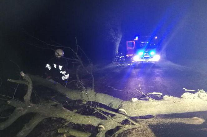 Powalone drzewa blokowały drogi na całym Pomorzu Środkowym.