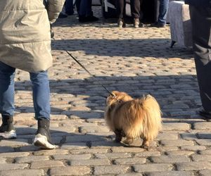 Tak wygląda typowa niedziela na Dworcu Świebodzkim we Wrocławiu