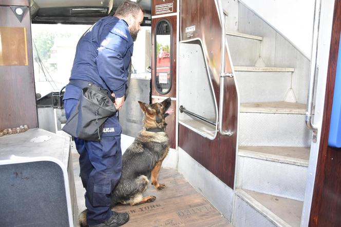  W lesie, między muzealnymi sprzętami rodem z PRL-u, a nawet w samolocie. Tak się szkolą policyjne psy [GALERIA]