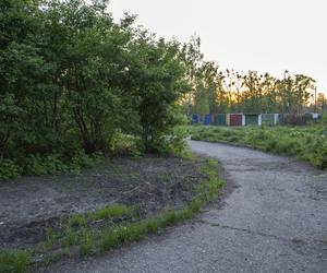 W Bytomiu powstanie Dżońcio Park. Będzie to strefa rekreacji dla psów i ich właścicieli