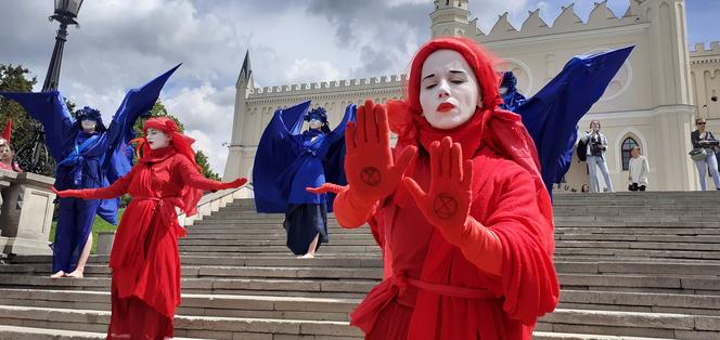 Wdowy milcząco przeszły przez Lublin. Był to protest przeciwko budowie kopani węgla przy Poleskim Parku Narodowym