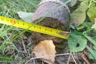 Niebezpieczne znaleziska podczas prac polowych. Saperzy musieli interweniować aż trzy razy