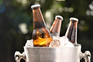 Sztuczna inteligencja opracuje smaczniejsze piwo bezalkoholowe! 