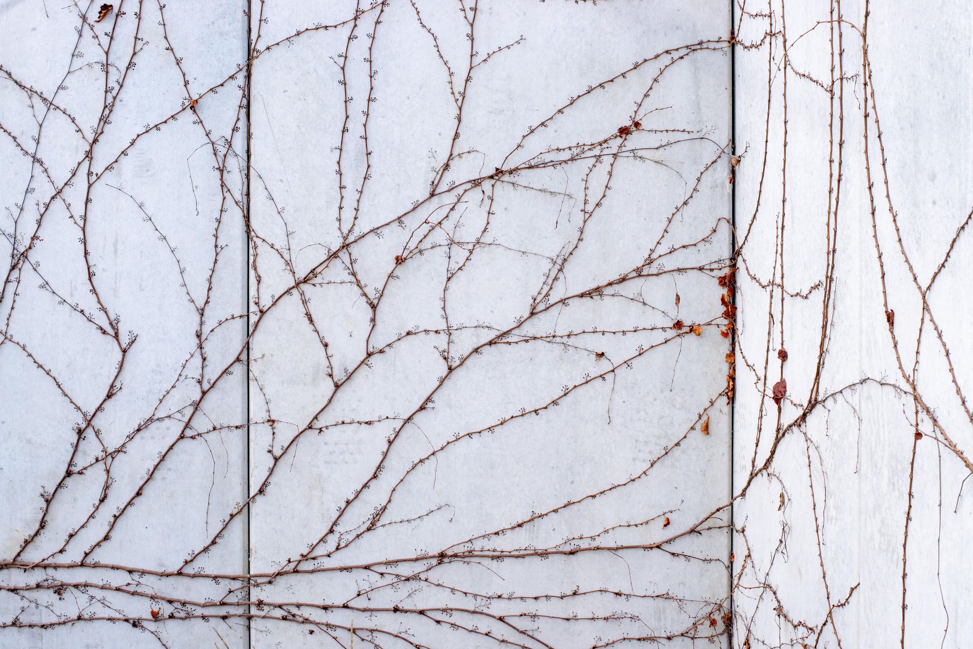 Bohema: adaptacja terenów poprzemysłowych na warszawskiej Pradze