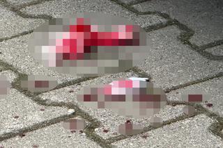 Napad w Wólce Kosowskiej. Krew lała się po ulicach!