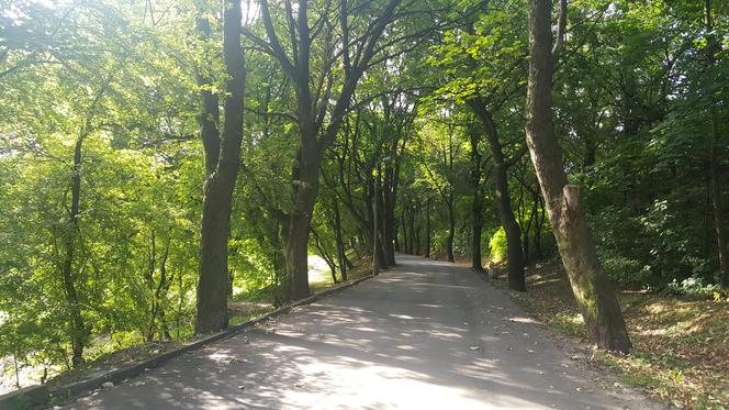 Trwa remont mysłowickiej Promenady. Do połowy roku miejski park przejdzie metamorfozę