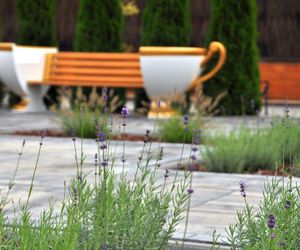 Ćmielów miasto porcelany