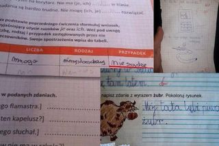 Hity ze sprawdzianów i kartkówek. Te szokujące odpowiedzi uczniów bawią do łez! [GALERIA]