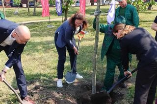 Obietnica frekwencyjna dotrzymana! Prezydentki Gdańska i Gdyni zasadziły drzewo [GALERIA]