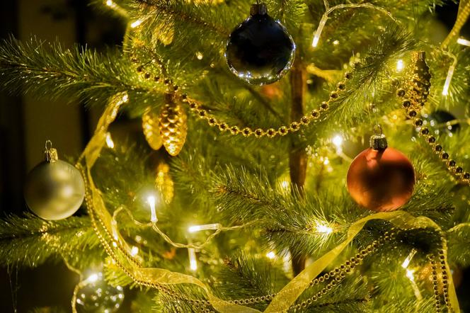 Boże Narodzenie 2022 tuż tuż. Piękne polskie tradycje bożonarodzeniowe będą kultywowane w polskich domach