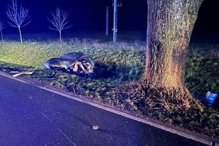 Tragiczny wypadek pod Iławą. Ofiarą jest prezes klubu sportowego i biznesmen [ZDJĘCIA]