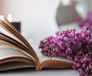  Numerologia wskaże piękne cytaty dopasowane do Twojej daty urodzenia 