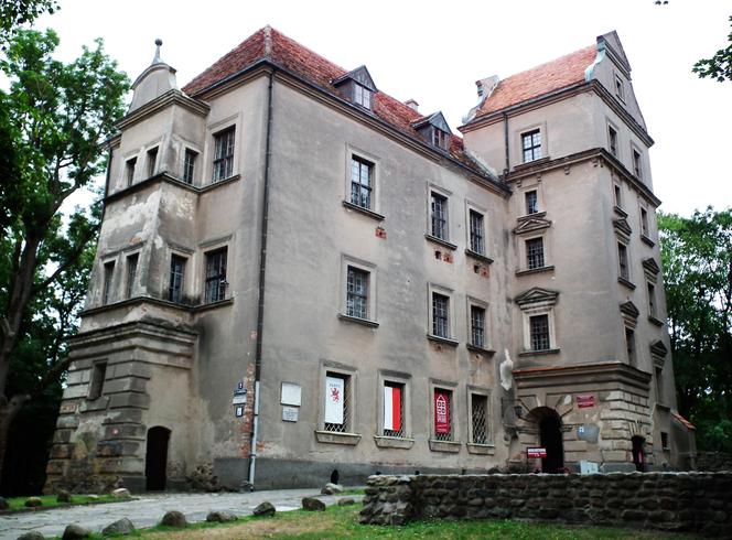 Zamek w Płotach – minimalna oferta 2 mln zł