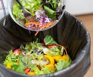 Segregacja bioodpadów. Unikaj tych prostych błędów i bądź eko