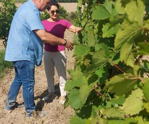 Wino, piwo i... miody. Jastrzębskie Produkty Lokalne stają się hitem