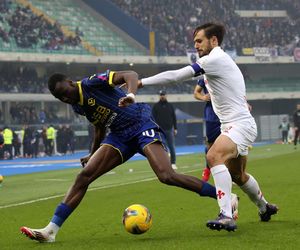 Verona - Fiorentina