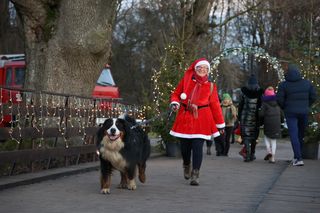 Świątecznie na Zamku w Janowcu/ Tak było na Jarmarku Bożonarodzeniowym 2024