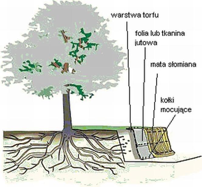 Zaplanuj ogród, zanim zaczniesz budować