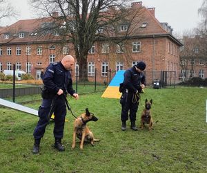 Nowe psy w szczecińskiej policji