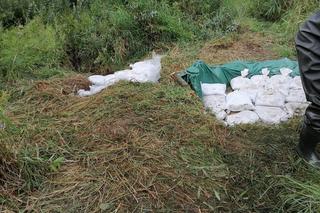 Podtopienia w Grudziądzu