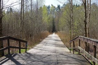 Biebrzański Park Narodowy