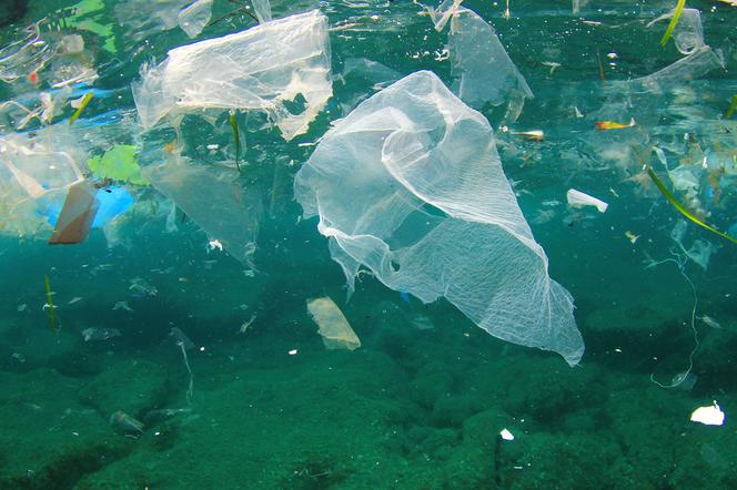 Śmieci, plastik, zanieszyszczenie środowiska