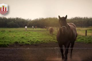 Oto najmłodsze miasto w województwie śląskim. A zarazem starsze od Katowic. Jak to możliwe?