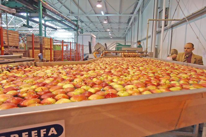 Nowy kompleks produkcyjny koło Wielunia