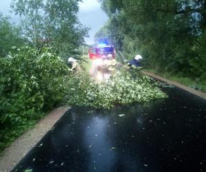 Kolejne groźne nawałnice przeszły nad Warmią i Mazurami. Strażacy interweniowali kilkaset razy [ZDJĘCIA]