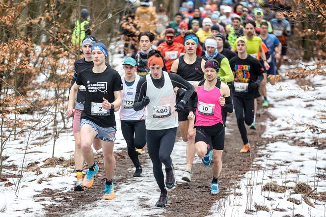 W pięknej scenerii pokonali 5-kilometrową trasę. Za nami kolejny bieg z cyklu City Trail w Katowicach 